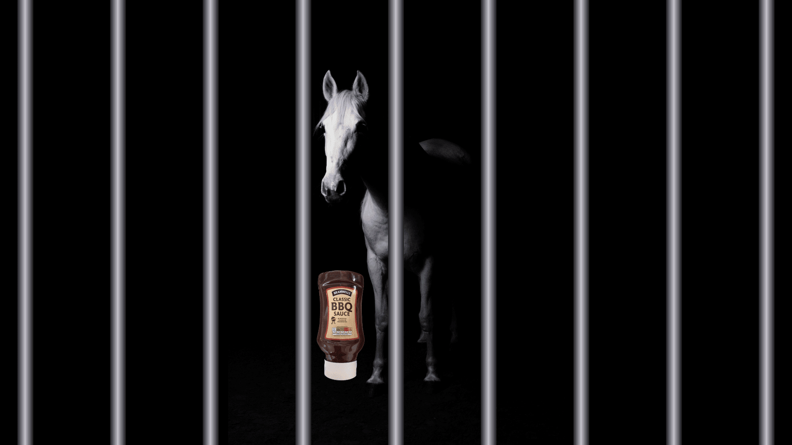 horse behind bars with bbq sauce